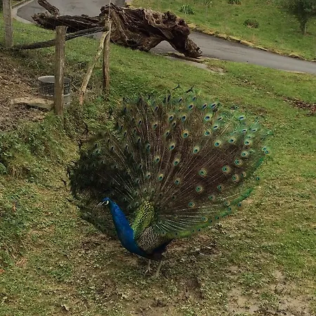 Harrigain San Sebastián