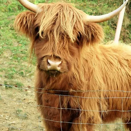 Harrigain San Sebastián