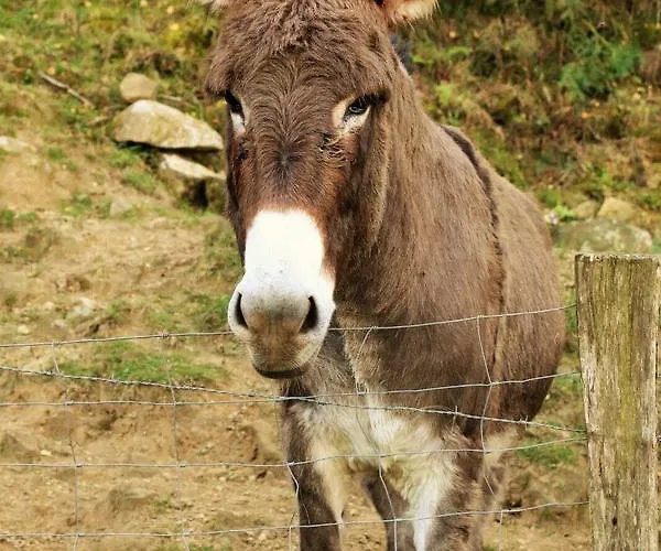 Harrigain Appartamento *