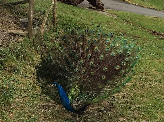 Harrigain San Sebastián