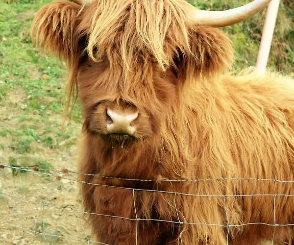 Harrigain San Sebastián